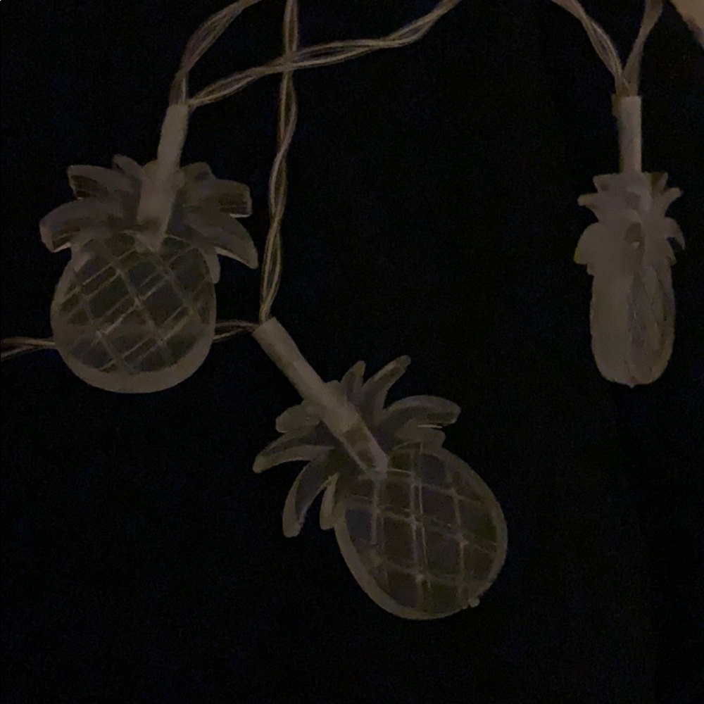 pineapple fairy lights